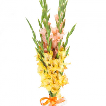 Букет из гладиолусов " В 1 класс"